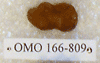 OMO 166-809