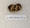 OMO 28-68-1275