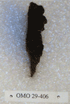 OMO 29-406