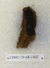 OMO 29-68-1402
