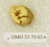 OMO 33-63