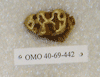 OMO 40-69-442
