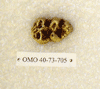 OMO 40-73-705