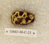 OMO 40-C 21