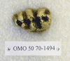 OMO 50-70-1494