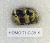 OMO 71-C 39