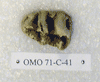 OMO 71-C 41