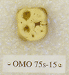 OMO 75s-15