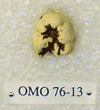 OMO 76-13