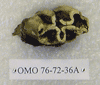 OMO 76-72-36A