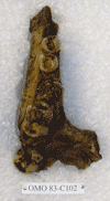OMO 83-C102