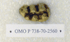 OMO P738-70-2560