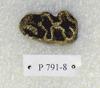 P 791-8