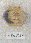 PA 502