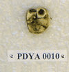 PDYA 0010