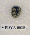 PDYA 0035