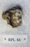 RPL 84