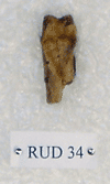 RUD 34