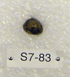 S7-83