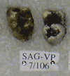 SAG-VP-7-106