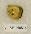 SE 1508