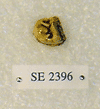 SE 2396