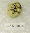SK 104