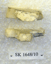 SK 1648-10