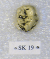 SK 19