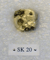 SK 20