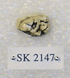 SK 2147