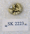 SK 2223