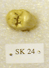 SK 24