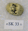 SK 33