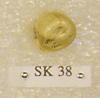 SK 38