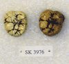 SK 3976