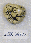 SK 3977