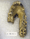 SK 411