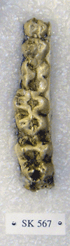 SK 567