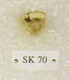 SK 70
