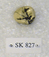 SK 827