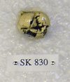 SK 830