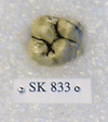 SK 833