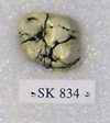 SK 834