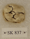 SK 837