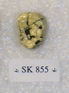 SK 855