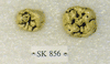 SK 856