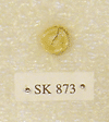 SK 873