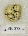 SK 878