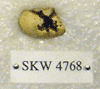 SKW 4768